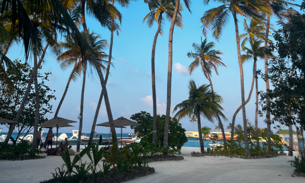 モルディブリゾートホテルの美しい写真